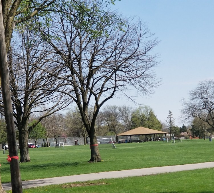 lombard-park-district-madison-meadow-photo